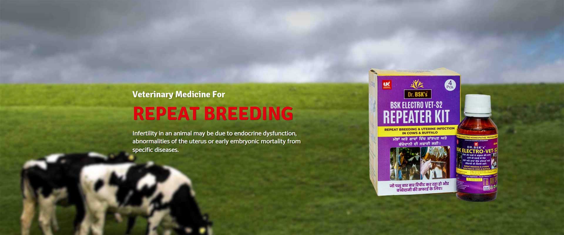 Veterinary Medicine For Repeat Breeding in Punjab