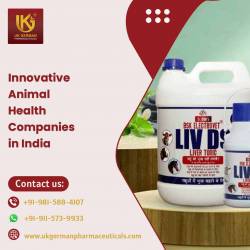 Innovative Animal Health Companies in India 