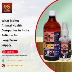 What Makes Animal Health Companies in India Reliable for Long Term Supply