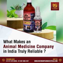 What Makes an Animal Medicine Company in India Truly Reliable