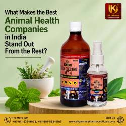 What Makes the Best Animal Health Companies in India Stand Out From the Rest?