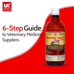 Your Pets Health A 6 Step Guide to Veterinary Medicine Suppliers