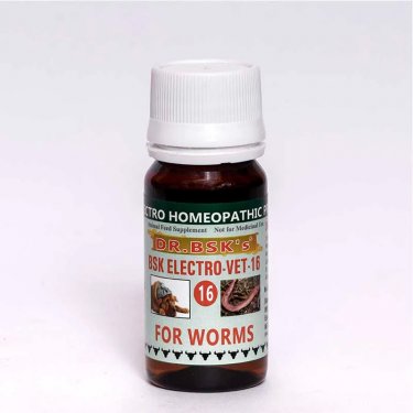 Dog Medicines