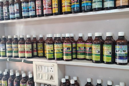 Homeopathic Medicine Store Shelves and Products