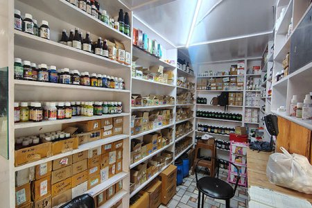 Homeopathic Pharmacy Interior and Medicine Display