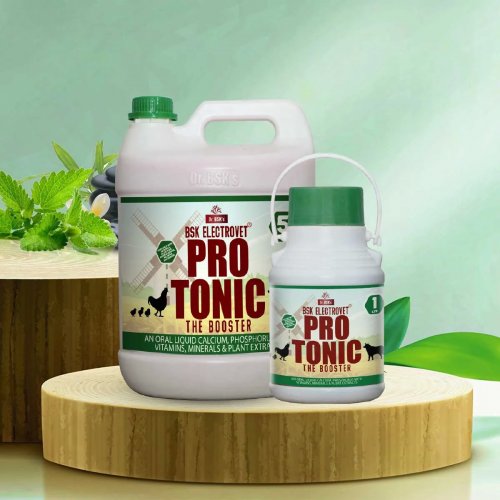 Bsk Electro Vet Pro Tonic The Booster Manufacturers, Suppliers in Chhattisgarh